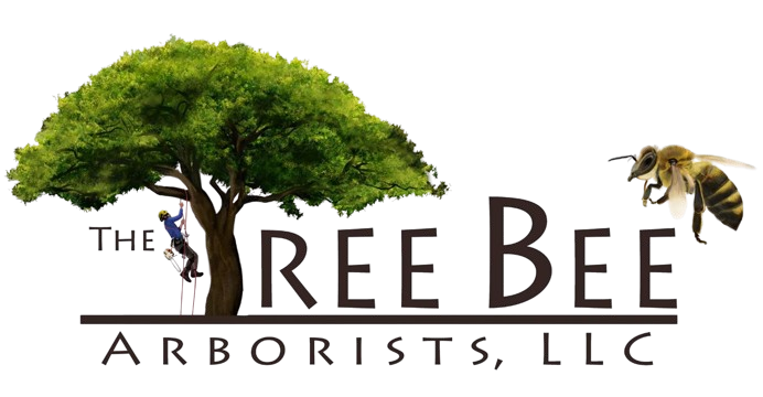 TreeBee-removebg-preview